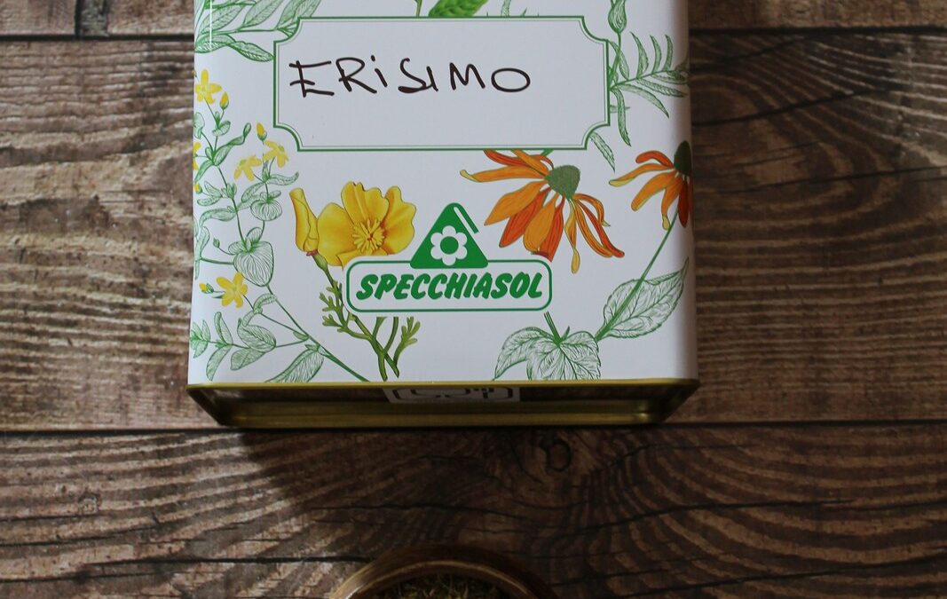 ERISIMO – LA PIANTA DEI CANTANTI