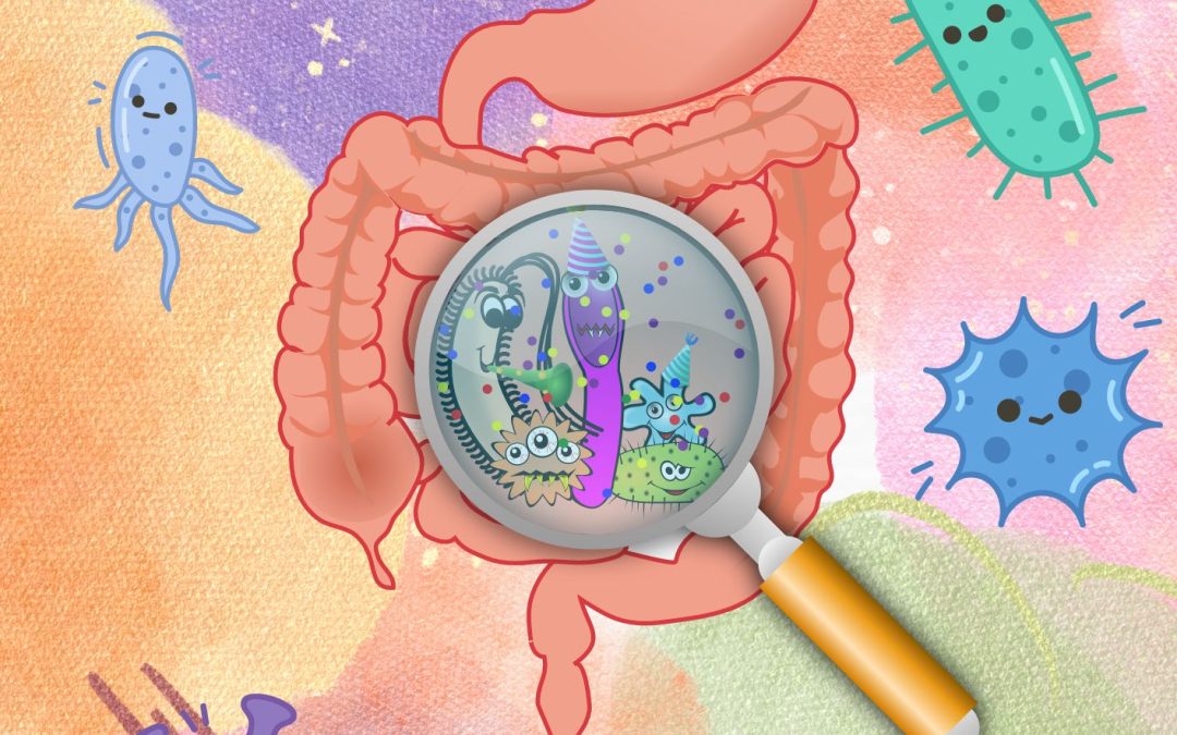 L’IMPORTANZA DEL NOSTRO MICROBIOTA