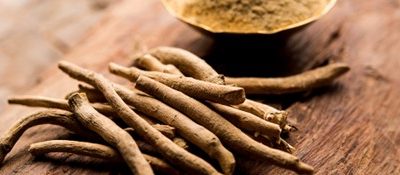 ASHWAGANDA: la radice che calma il corpo e l’anima